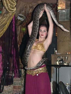 Traditional Egyptian Dance - Baladi - Belly Dancing